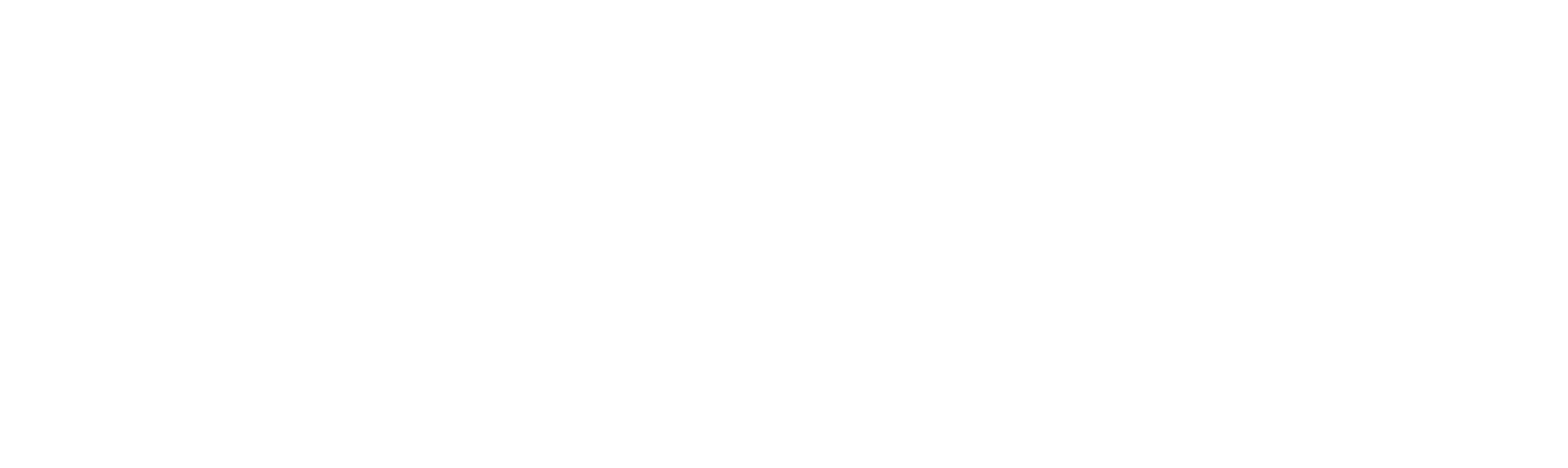 Экономкин